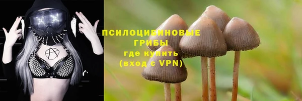 PSILOCYBIN Богородск