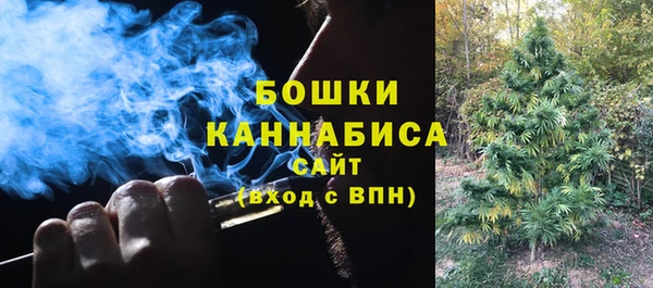 PSILOCYBIN Богородск