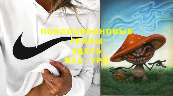 PSILOCYBIN Богородск